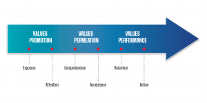 4_valuesPromotion_permeation_performance-1-2